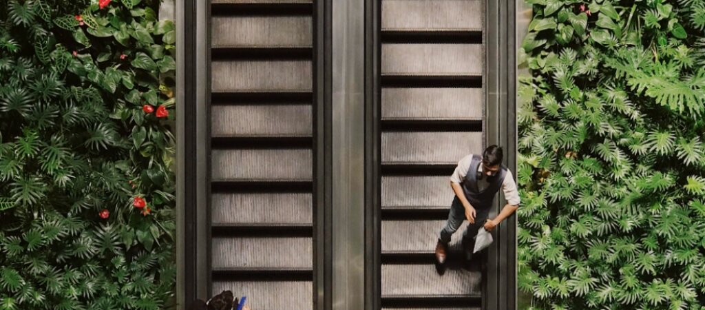 Vogelperspektive auf eine Person auf einer Rolltreppe, umgeben von &uuml;ppig begr&uuml;nten W&auml;nden.