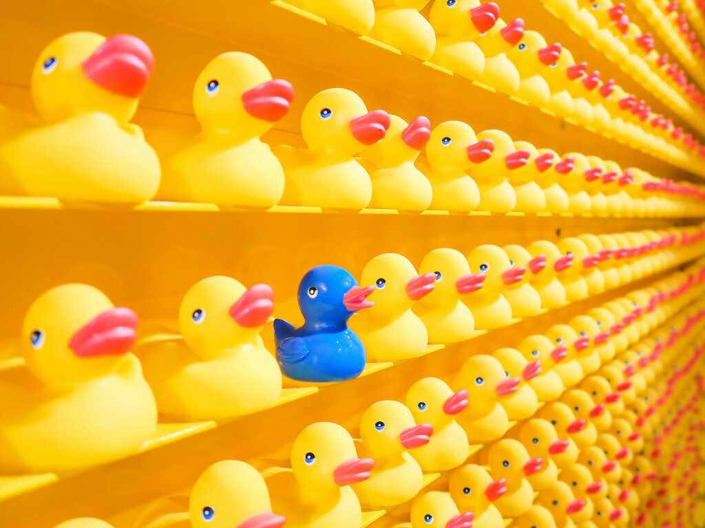 Eine blaue Spielzeugente steht zwischen Reihen gelber Enten.